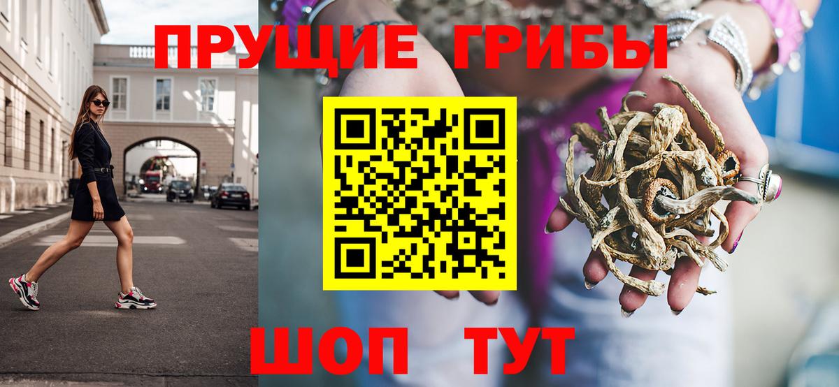 Псилоцибиновые грибы Psilocybine cubensis Саратов