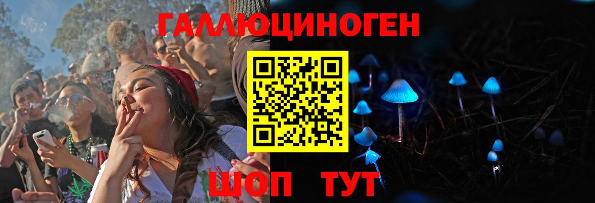 Саратов  Псилоцибиновые грибы MAGIC MUSHROOMS  как найти закладки  Вход с VPN  Галлюциногенные грибы Cubensis 
